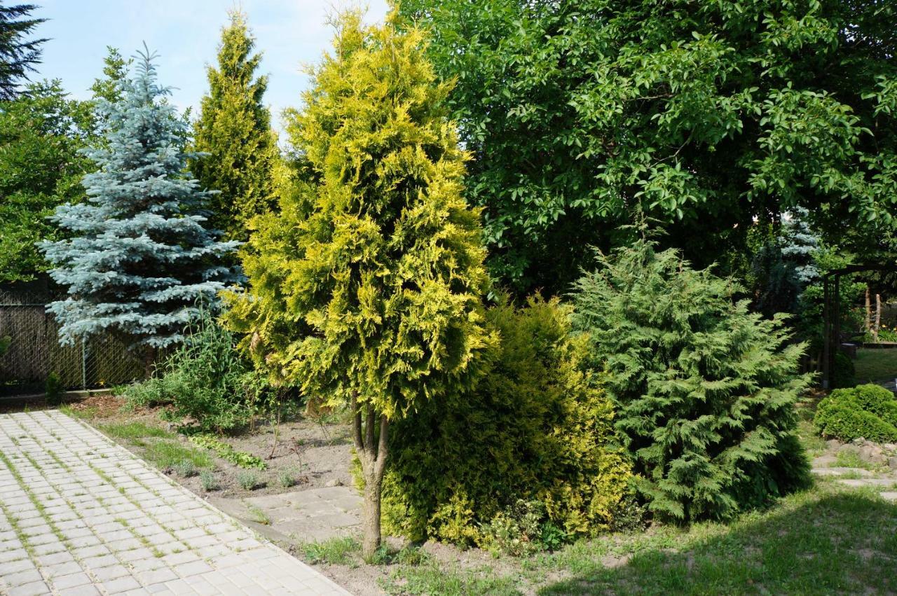 Apartamenty Z Klimatem Poznan Luaran gambar